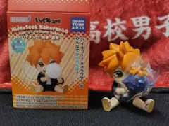 ハイキュー！！Hide&Seek　日向翔陽（ヒナガラス）