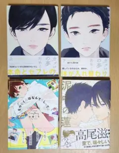 商業BL まとめ売り 24冊セット BL 24冊セット 特典多数 まとめ売り 商業BL漫画 コミック BL本