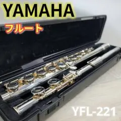 2025年最新】Yamaha YFL-221の人気アイテム - メルカリ