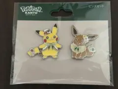 ピンズセット】ポケパークカントー限定 ピカチュウ イーブイ - メルカリ