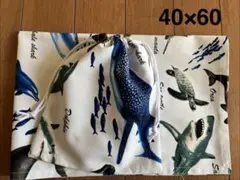 カグラ様 リクエスト 2点 まとめ商品