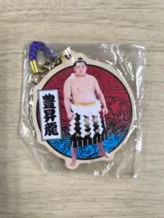 Item thumbnail for item 29b5527a-a768-411e-bf22-b33e7d0a7d46