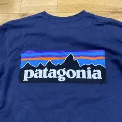 パタゴニア 長袖tシャツ