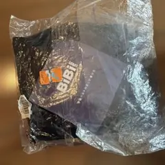 Item thumbnail for item bb9da723-798b-4fcd-9d75-a995ece90130