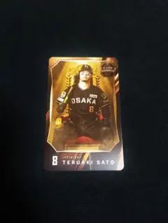 BLACK SATAN 5IZM 紅麗威甦 横浜銀蝿 森一馬 湘南爆走族 激レア - メルカリ