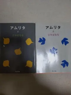 アムリタ 上下セット