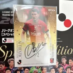 epochダニーロボザ直筆サインカード55枚限定