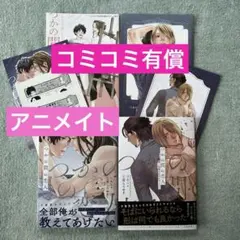 つかの間の恋人〜旋律の乱れたカノン〜　セット