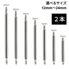 948) ベルトピン 交換 バネ棒 修理 金具 ステンレス パーツ 腕時計 2本