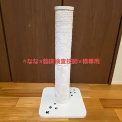 猫様の爪研ぎのサムネイル