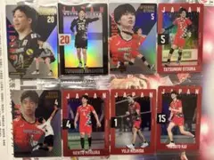 男子バレー日本代表 ツインウエハース 8枚セット