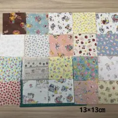 Item thumbnail for item 2ed3636c-f07e-4d84-9b14-82bb8e00309f