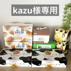 【kazu様専用】