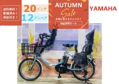 SUNPIE eb-01 折りたたみ 電動自転車 20インチ - メルカリ