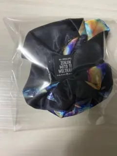 Mrs. GREEN APPLE ゼンジン未到とヴェルトラウム　シュシュ