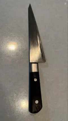 【廃盤】ガラスキ包丁 TSマダムのサムネイル