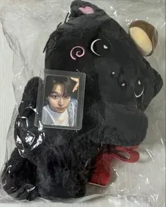 2026年最新】NCt wish リク ぬいぐるみの人気アイテム - メルカリ