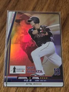 2026年最新】bbh wbcの人気アイテム - メルカリ