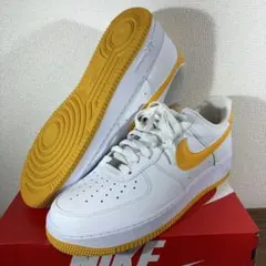 30.5cm NIKE AIR FORCE 1 FJ4146-105