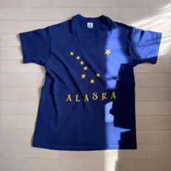 90年代ビンテージアートTシャツ メトロポリタン美術館 青いカバ M 