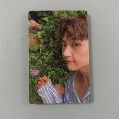 ゼベワン メテュ マシュー cinema paradise トレカ