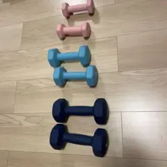 SONGMICS ダンベル 3kg 2kg 1kgセット