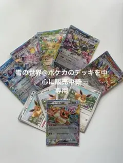 【匿名配送】ブイズセット　テラスタルフェスex