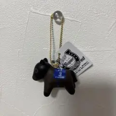 ニュースーパーサラブレッドキーチェーン【1種】