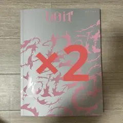 開封済 StrayKids スキズ DO IT 通常版 通常盤 韓国 2枚セット