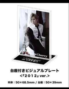 Acid Black Cherry ビジュアルプレート 『2012』