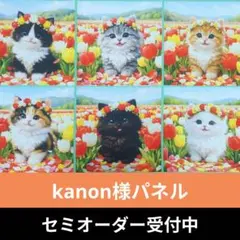 ♡セミオーダー受付中♡　にゃんことチューリップ　猫　609　kanon様パネル