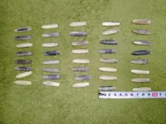 Item thumbnail for item ba650739-004d-47de-ae43-4e8cf175332c