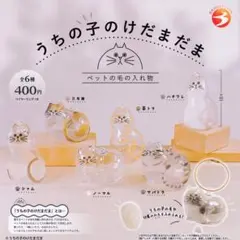 うちの子のけだまだま　シャム猫