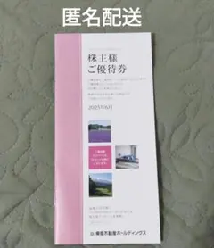 東急不動産ホールディングス　宿泊優待券 2025年6月発行