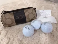 ゴルフボールケース アクセサリー