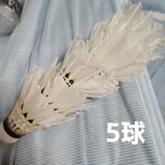 バドミントンシャトル中古品240球 大会使用球240個（20ダース） HANGYU PLATINUM中国大会認定級3番