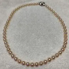 Item thumbnail for item 13466540-627f-43ea-81a6-fa9fe5866977