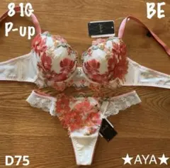 サルート【ベトナムの花嫁】E70&ソングM PI 06 店舗限定 リッチ