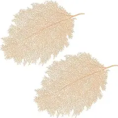 Item thumbnail for item 4aa23683-7e80-418b-8dff-0419fb0e79db