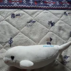 아쿠아스 흰돌고래 봉제인형