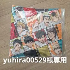 ハイキュー　バラエティバック　クッション