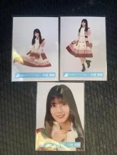 2025年最新】日向坂46 生写真 小坂菜緒 サンタの人気アイテム