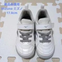 Item thumbnail for item 2bcae118-c1e4-4fcb-9d12-fb138d32d7f8