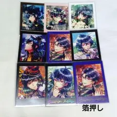 悪魔執事と黒い猫 あくねこ バスティン ぱしゃこれ 箔押し セット