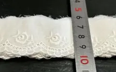 Item thumbnail for item b85f0a26-87cf-4ec1-9f31-17645012e09d