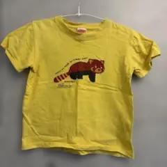 子供用130 tシャツ たぬき　黄色可愛い　アニマルtシャツのサムネイル
