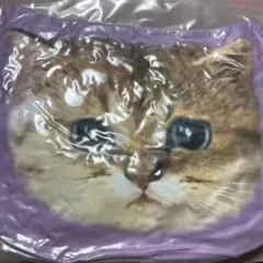 Item thumbnail for item a66812fa-eb91-47eb-ab4c-d52052431a04