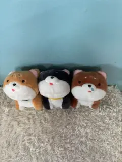 熊本柴犬 ぬいぐるみ マスコット 3点セット 熊本柴犬 ぬいぐるみ マスコット 3点セット - メルカリ