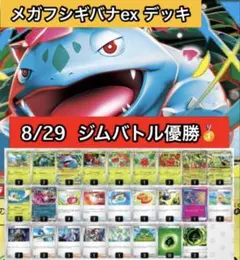 未開封 ギンガの覇道 発売記念 SPポケモン秘おたのしみブック プロモ