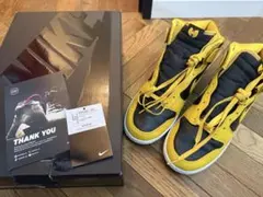 ナイキ ダンク ハイ ウータンクラン NIKE DUNK HI 29cm